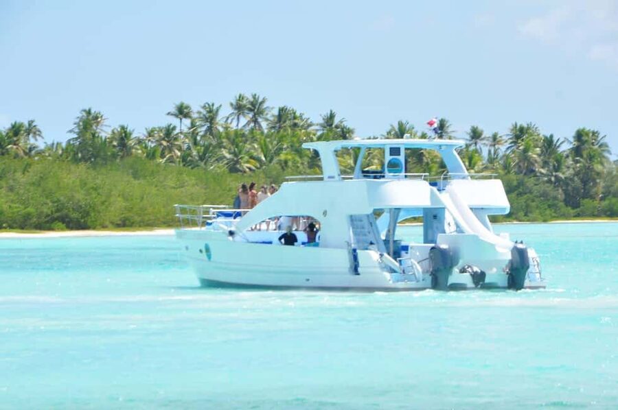 Samana: Half Day Whale Watching Humpback Whale Watching - Half-day timing: 1–5 hours on the clock vs the time you feel on-water