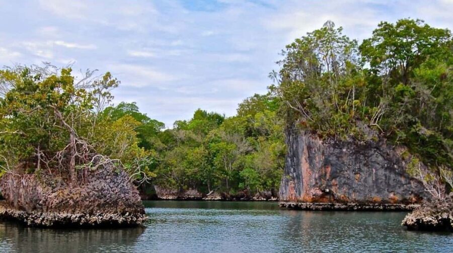 Samana: Los Haitises Kayaks & Caño Hondo Pools Tour w/ Lunch - Getting from Samana to Los Haitises: the ferry is part of the story