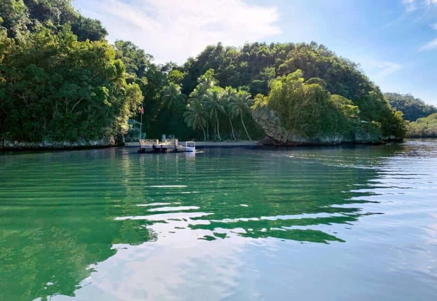Samana: Los Haitises National Park & Caño Hondo Day Tour - Caño Hondo Pools: the payoff swim and what to expect at the water’s edge