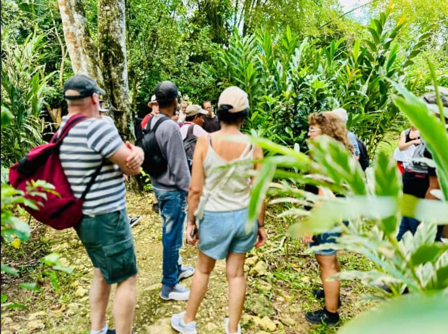 Samana: Los Haitises National Park & Caño Hondo Day Tour - Price and value around $85: what you’re paying for