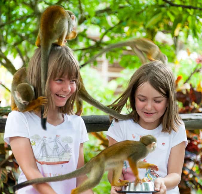 Samaná: Monkeyland and Open-Air Safari Truck Tour - Samaná to Monkeyland: Why This Stop Feels Worth It
