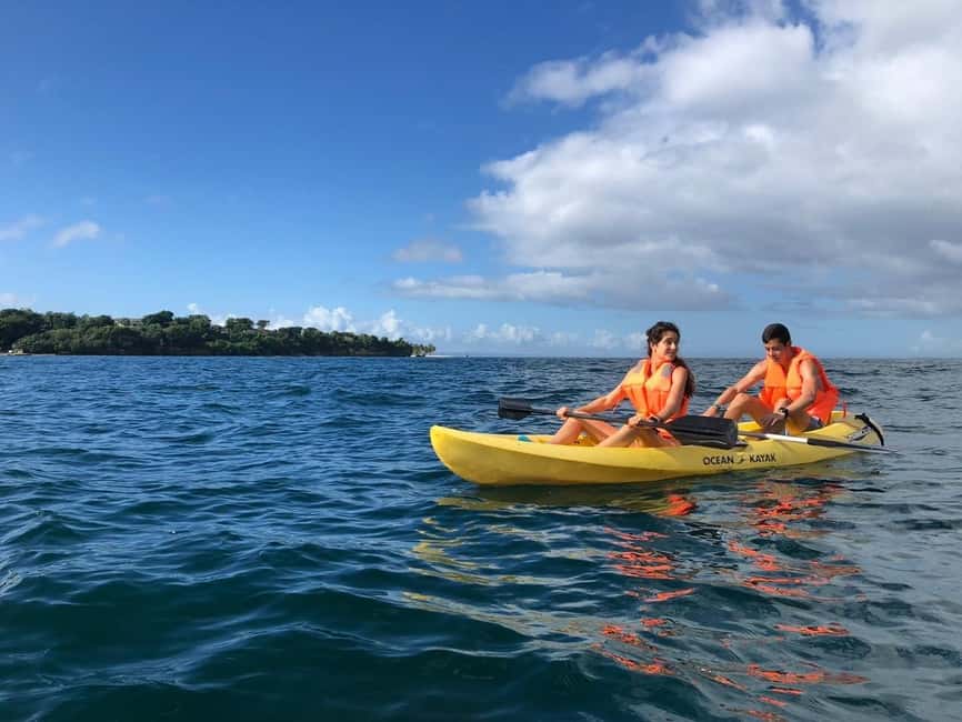 Samaná: Whale, Cayo Levantado, & Kayak in Samaná Bay Tour - Guides, language, and how to avoid a frustrating mismatch