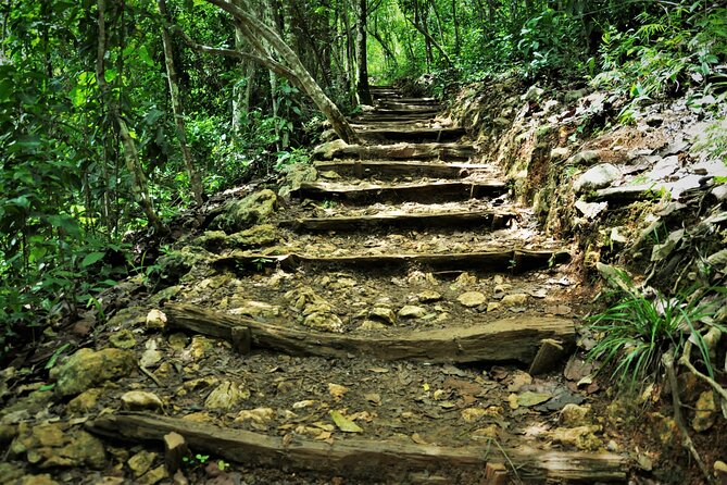 Samaná Whale Watching, waterfall & Cayo Levantado Adventure - The real-world logistics: early start, transfers, and how not to suffer