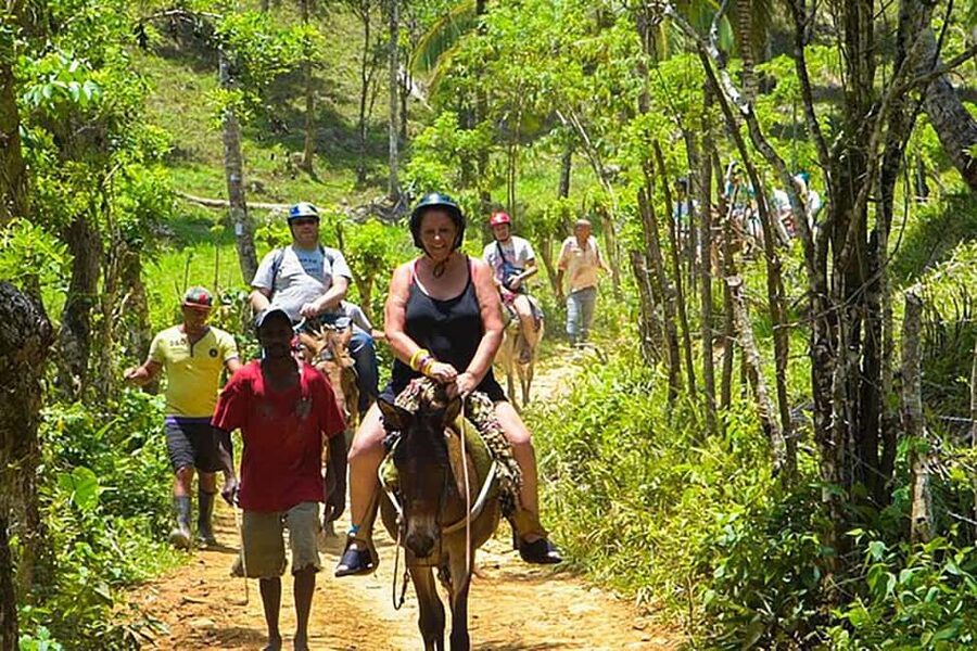 Samaná Whales Full Day, Cayo Levantado, Limón Waterfall - Safari-style ranch time and the El Limón Waterfall approach