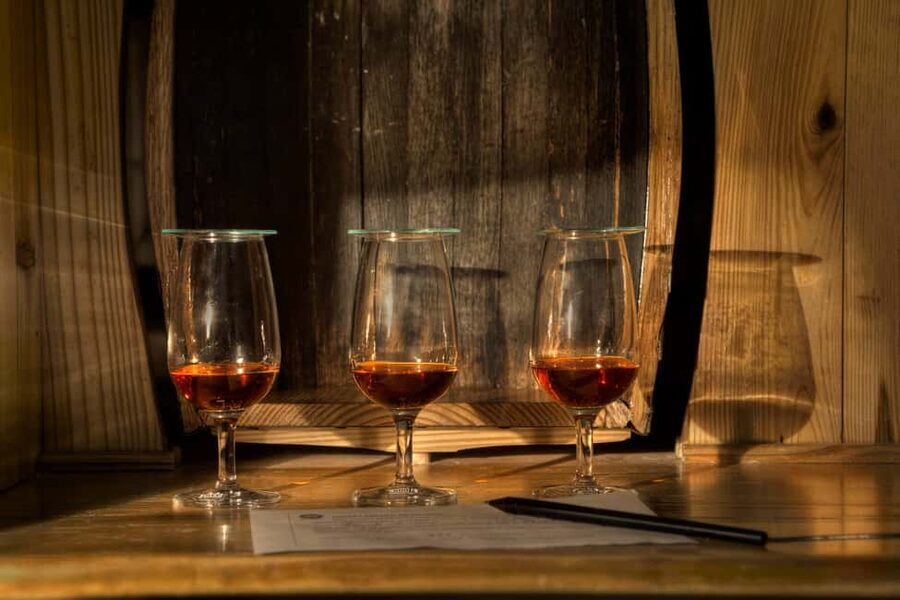 San Pedro De Macoris: Ron Barcerló Rum Factory Tour - Who Should Book This Tour (and Who Might Skip It)