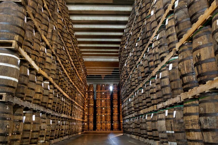 San Pedro De Macoris: Ron Barcerló Rum Factory Tour - The Museum and Visitor Center: Company history you can actually use