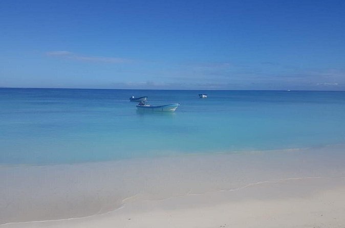 Sand fell Paradise Island Excursions - The Guides: Rigo and Leonel’s Style of Service