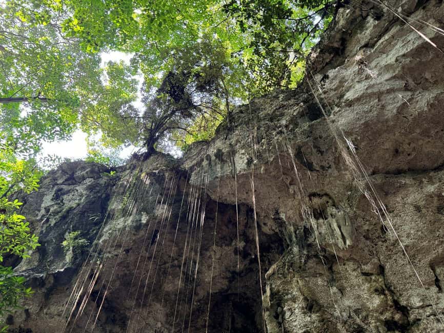 Santo Domingo City Tour From Punta Cana - Timing and transportation: what can make or break the day