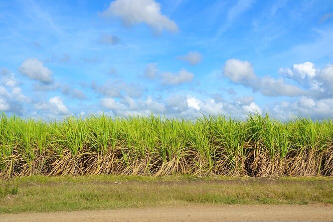 Santo Domingo City Tour From Punta Cana With Pick Up - Price and value: what $72 covers and where you might spend extra