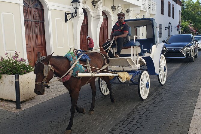 Santo Domingo City Tours Full Day From Punta Cana - Group Size, Bus Comfort, and the 12-Hour Timing Trade-Off