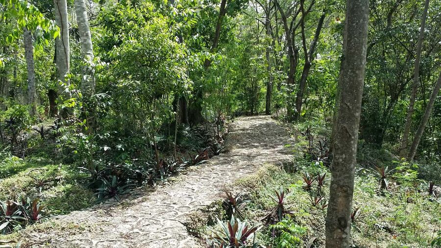 Santo Domingo: Natural Treasures of the City - Who This Tour Suits Best (and Who Should Skip It)