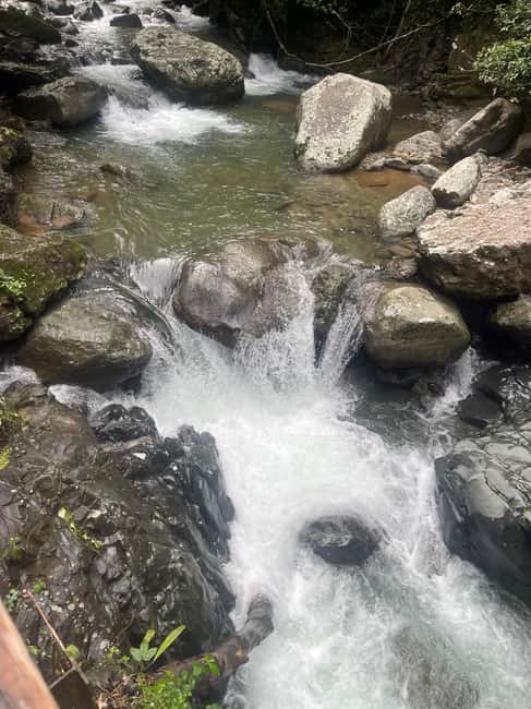 Santo Domingo: Paradisiac Waterfall & Lunch Cooked Over Wood - Hiking to the waterfall: manageable walking, real terrain