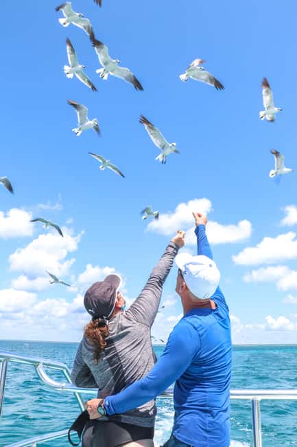Santo Domingo: Saona Island Cataraman Food And Drink - Who this Saona catamaran day trip is best for