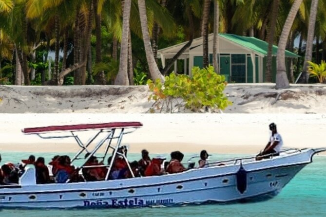 Saona by Speedboat: Private Beach & Snorkeling – Small Group - Snorkeling Time With Included Gear (and How to Get the Best Water Moments)