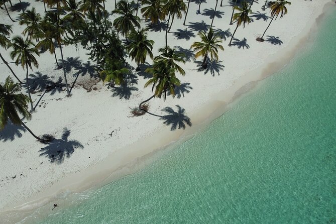 Saona by Speedboat: Private Beach & Snorkeling – Small Group - Private Saona Beach Comfort: Chaise Lounges, Canopy Beds, and Shade