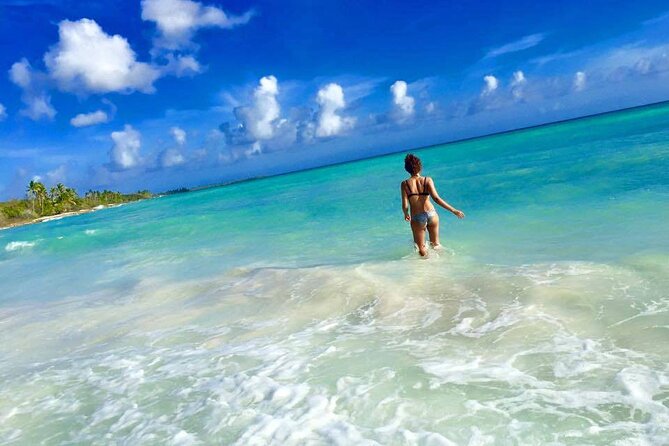 Saona by Speedboat: Private Beach & Snorkeling – Small Group - Lunch on Saona: Dominican Buffet and Included Drinks