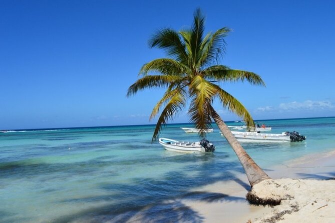 Saona Catamaran Cruise with Lunch and Natural Swimming Pool - Punta Cana to Bayahibe: the ride is part of the deal
