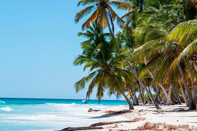 Saona Catamaran Cruise with Lunch and Natural Swimming Pool - Palmilla stop for the natural pool: swim time and starfish spotting