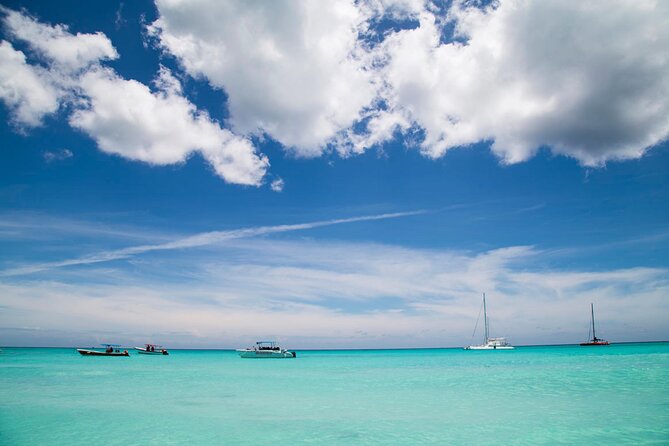 Saona Catamaran Cruise with Lunch and Natural Swimming Pool - Drinks, lunch buffet, and the extras that can save your day