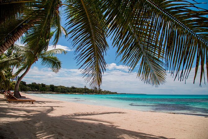 Saona Catamaran Cruise with Lunch and Natural Swimming Pool - Who should book this Saona catamaran day—and who should skip it