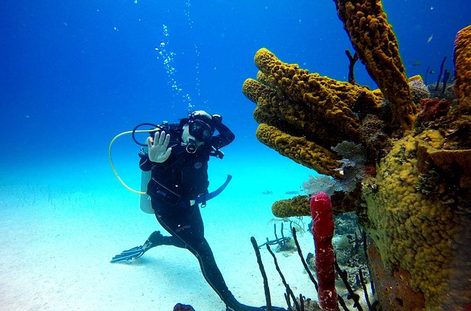 Saona Diving - Lunch, Refreshments, and Ocean-View Open Bar