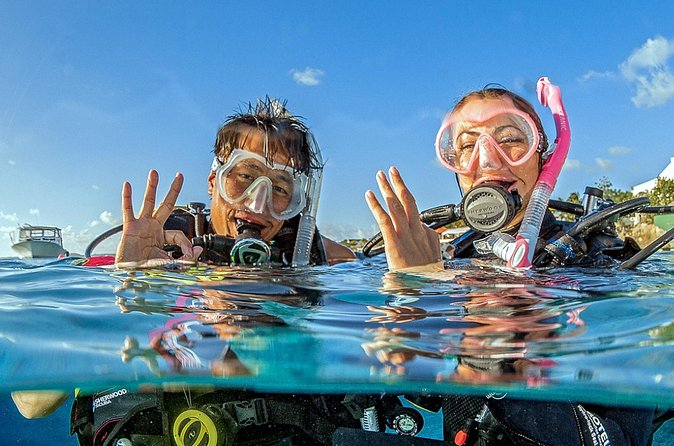 Saona Diving - Price and Value: Is $260 Reasonable?