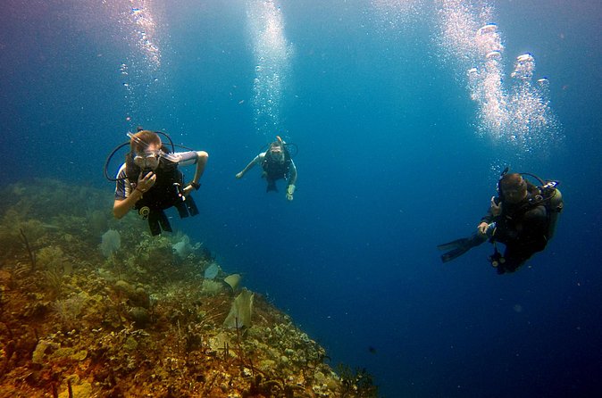 Saona Diving - Practical Tips to Make the Day Go Smooth