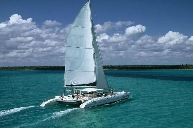 Saona Island Adventure From Punta Cana With Lunch and Transportation - Natural Pool Stop: 45 Minutes of Clear-Water Fun
