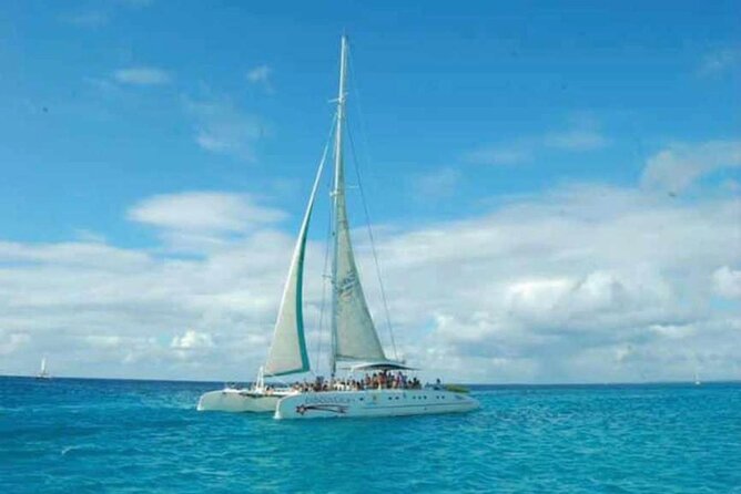 Saona Island Adventure: Natural Pool & All-Inclusive Drinks - Who this Saona outing is best for