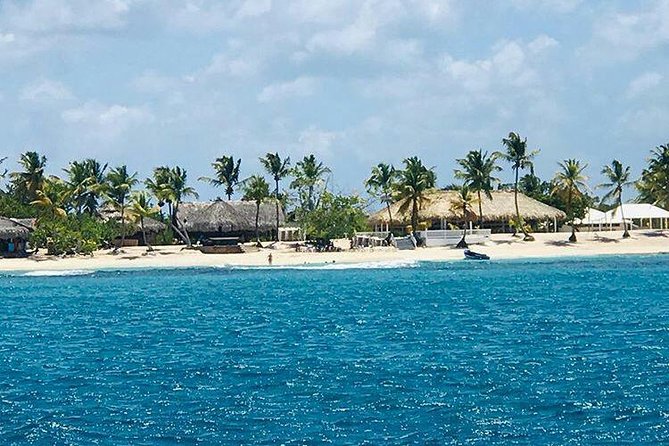 Saona Island All Inclusive Punta Cana - Snorkeling Time: Fun, Simple, and Time-Limited