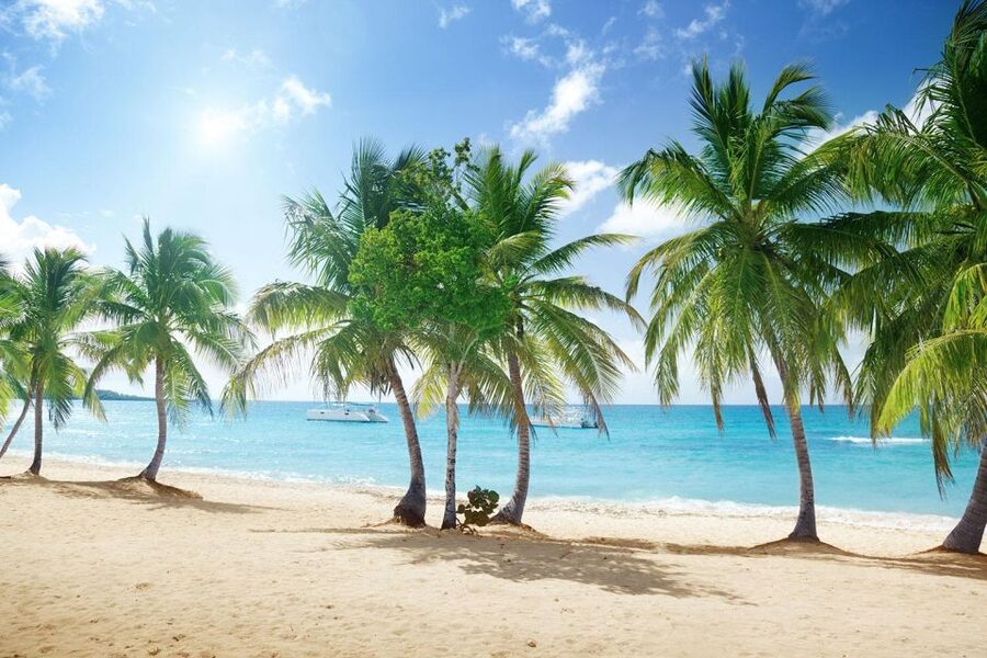 Saona Island All Inclusive Tour - The natural pool swim stop: warm, shallow, and built for easy fun
