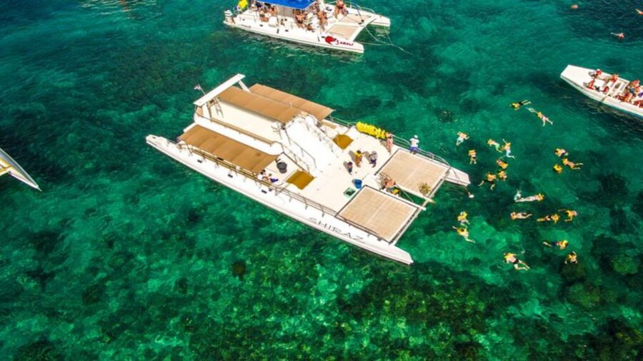 Saona Island All Inclusive Tour - Guide languages and real-world communication