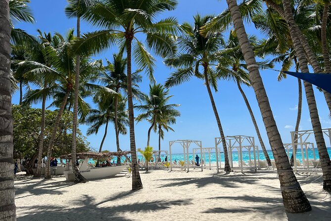 Saona Island and Chavon River Tour with Lunch and Drinks - Key highlights worth knowing before you go
