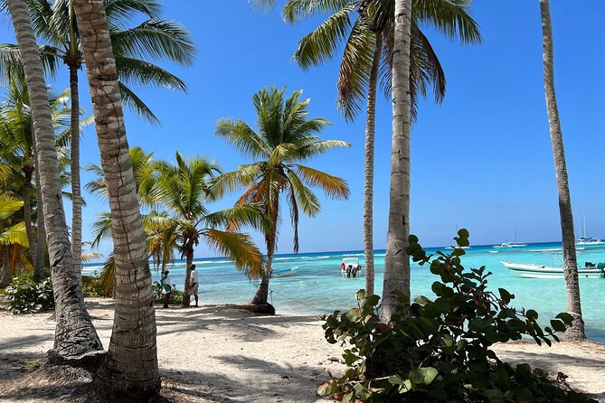 Saona Island and Chavon River Tour with Lunch and Drinks - Marina Casa de Campo Stop: Celebrity Villas Without the Fanfare