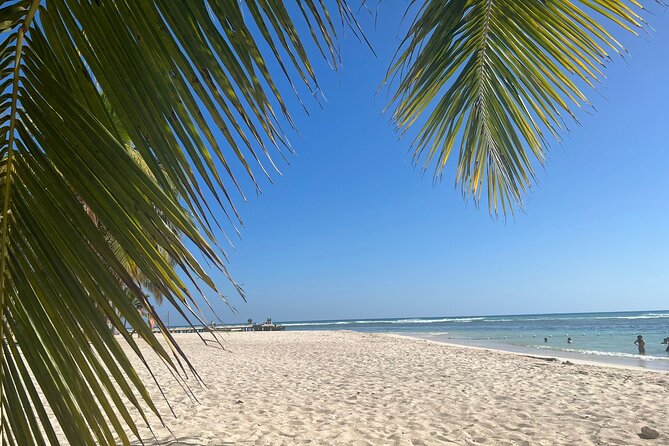 Saona Island and Chavon River Tour with Lunch and Drinks - Managing a Long Day: 12 Hours, Lots of Travel, and Speedboat Reality