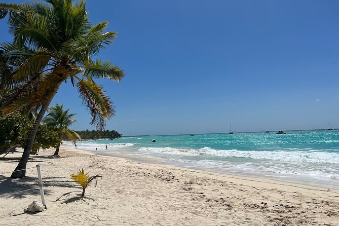 Saona Island and Chavon River Tour with Lunch and Drinks - Price and Value: Is $105 Worth It?