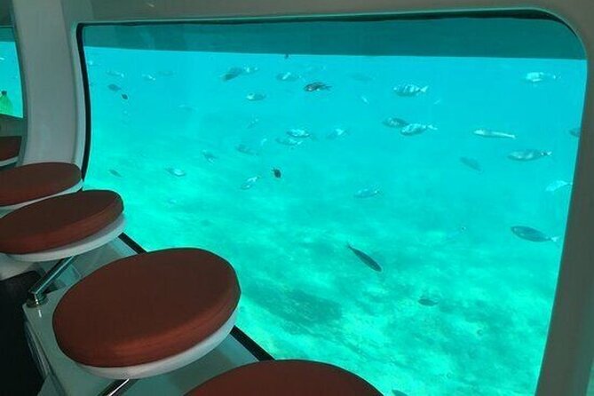Saona Island at Yellow Submarine Exclusive Tour from Punta Cana - Logistics to get right: pickups, schedule shifts, and staying flexible