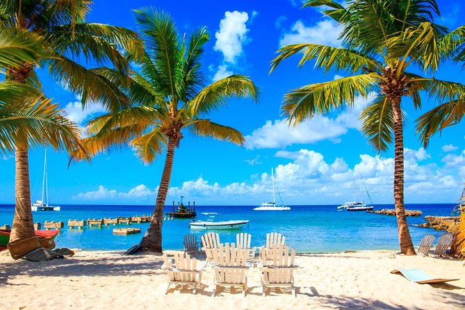 Saona Island by Paradise Travel - Key things to know before you go