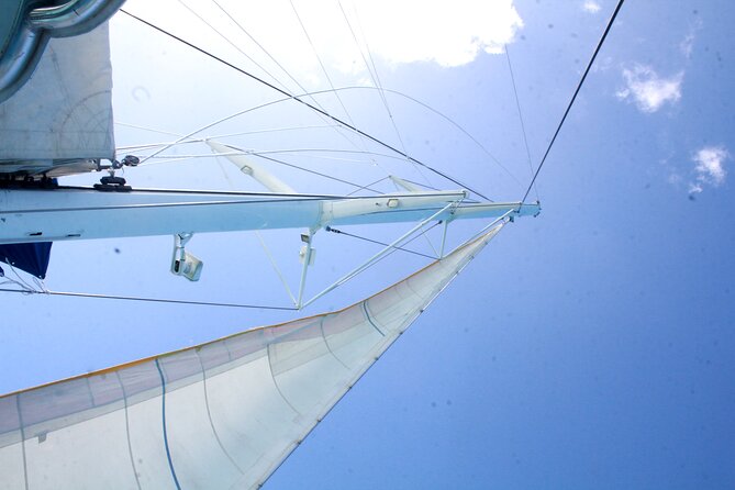 Saona Island by Paradise Travel - Catamaran return: open bar, dance show, and the “opposite way back” effect