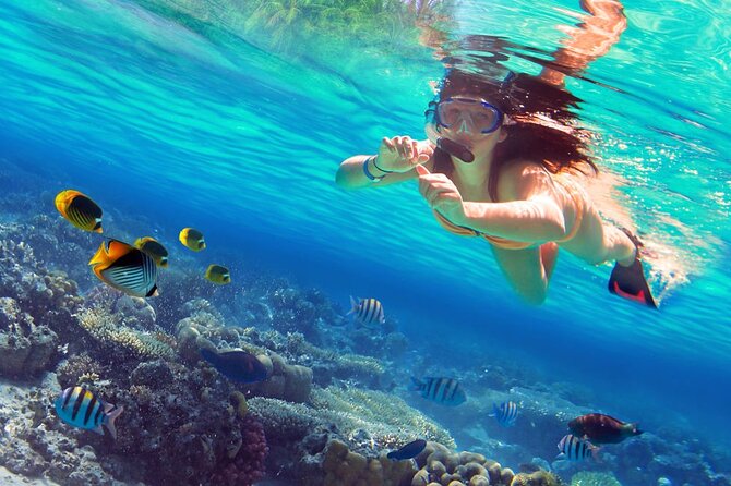 Saona Island by Paradise Travel - The big risk: timing, pickup flow, and how to protect your day