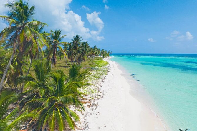 Saona Island Caramaran Adventure from Punta Cana With Lunch - Return catamaran: snacks, unlimited drinks, and dancing