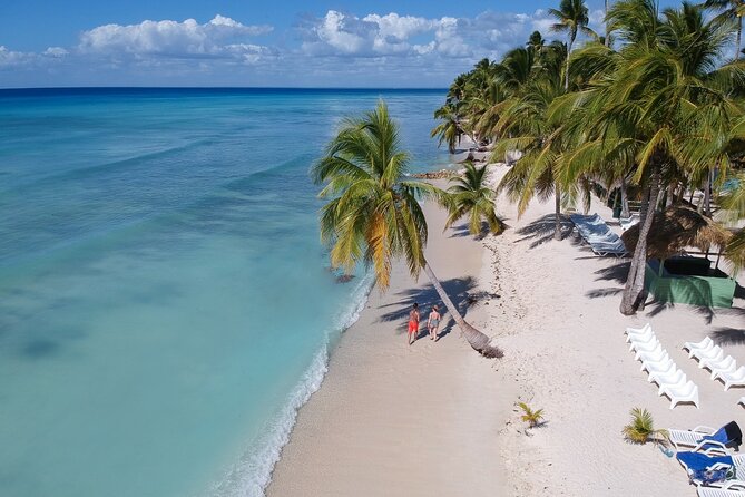 Saona Island Catamaran Cruise Experience (All Inclusive) - Island Time and Lunch: Beach-Club Access on Saona