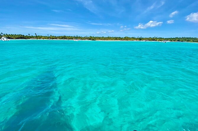 Saona Island Catamaran Cruise Experience (All Inclusive) - What $99 Really Means: Value for Budget Travelers