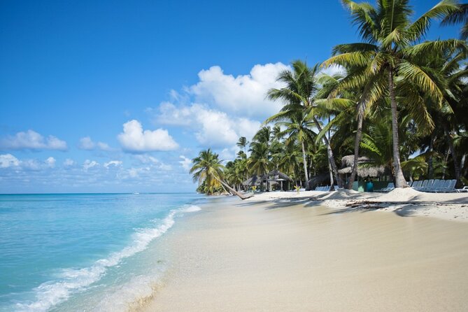 Saona Island Catamaran Cruise Experience (All Inclusive) - Who Should Book This Saona Cruise (and Who Should Skip)