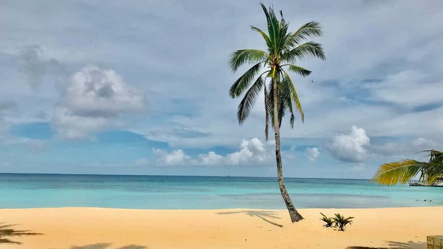 Saona Island: Catamaran Excursion with Lunch and Drinks - Price and value at about $60 per person