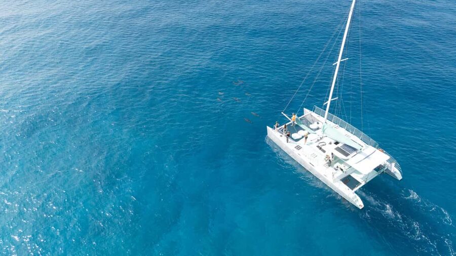 Saona Island: Catamaran Excursion with Lunch and Drinks - Should you book Saona Island with lunch and drinks?
