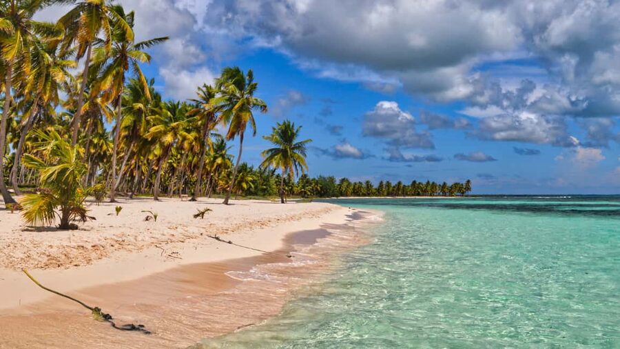 Saona Island: Catamaran Excursion with Lunch and Drinks - Saona Island beach time, pool swim, and where your hours actually go