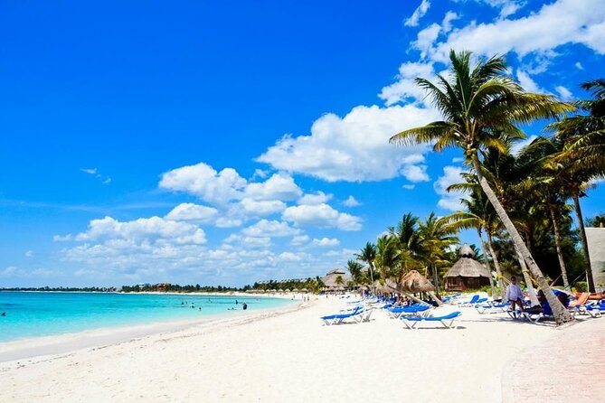 Saona Island Catamaran For Small Group Hotel Pick Food Drink - Key Highlights at a Glance