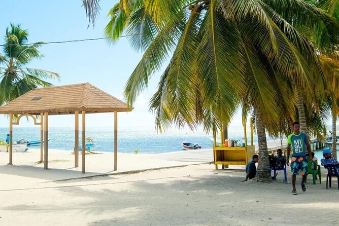 Saona Island Catamaran For Small Group Hotel Pick Food Drink - Swimming, Snorkeling, and How to Get the Most Out of Your Water Time