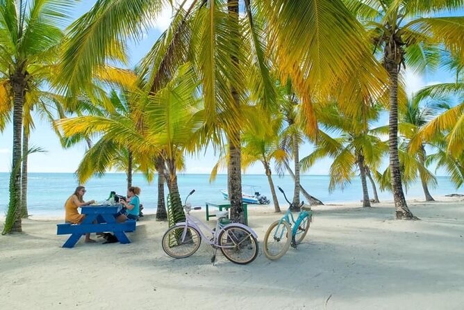 Saona Island Catamaran For Small Group Hotel Pick Food Drink - Lunch on Saona: The Traditional Meal Part of the Value